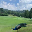 글렌로스골프클럽 이미지