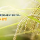 신김포농협로컬푸드