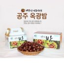 계룡산성화농원