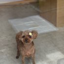 써니몽 이미지