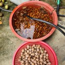 지리산다래랑민박 이미지