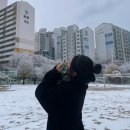 정남우체국 | NOVEMBER 추억팔이