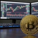 윌트레이딩 이미지