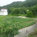 주천공인중개사사무소 이미지