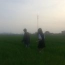 숲속의사랑별 이미지