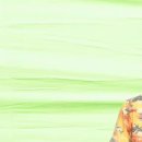 진비디오 이미지