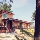 반딧불민박 이미지