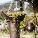 마이산섬진펜션 이미지