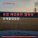 포애뜰카페 | 포천 애견동반 캠핑장 포애뜰캠핑장 주차 편리·예약 필수 이용법