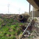 일죽 청미천 이미지