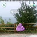 몬스터고 이미지