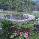 오늘 하루 운동 체력단련실 이미지