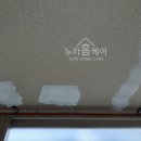 일산 탄성코트 신원2차 베란다 누수 해결 페인트 시공 후기!
