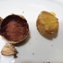 헤이리농장 이미지