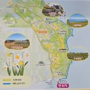 지도읍선도보건진료소 | 노란 옷 입고 무료입장! 2026 신안 선도 섬 수선화 축제 꿀팁 총정리