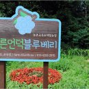 민희농장 이미지