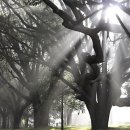 아침햇살 이미지