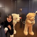 뉴스페셜 당구클럽 | 새해 일상 + 어쩌면 해피엔딩 (연강홀 10열 시야) + 반얀트리 신년 들깨 떡국