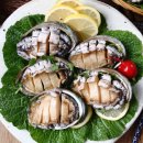 청정영어조합법인 이미지