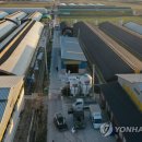 김현숙농장 이미지