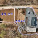 무릉도원면-16 Daum카페