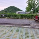 천왕산 가족캠핑장 이미지