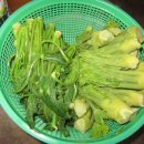 엉게나무 이미지