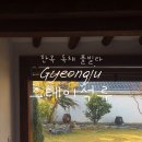 석류애견 네이버블로그