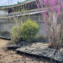 소로1리 마을회관 이미지