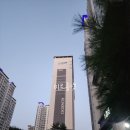 연일읍 미르 네이버블로그