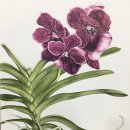 보태니컬아트 이미지