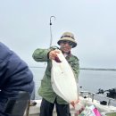 산타 크루즈 이미지