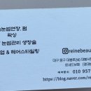 르네드보떼