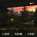 벨짐 | [2025 w31] 보풀 콤포지션 테이블, 합평모임, 공연 <timber!>