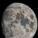 선명이네 이미지