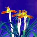 한국춘란 복색화(複色花) 지존(至尊)15 이미지