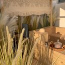 일리스테이 이미지