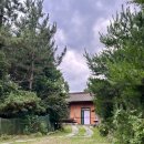 솔바람 힐링하우스 | 사랑하는 언니들과 즐거웠던 우중 촌캉스💚 제천 ‘솔바람 힐링하우스‘