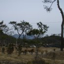 엄마손생선구이 이미지