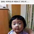 개귀여워 이미지