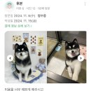 퓨어멍 네이버블로그