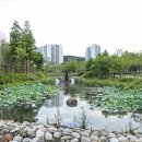 부산시민공원 이미지