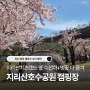 지리산호수공원 오토캠핑장 | 구례 지리산호수공원 오토캠핑장, 명당 자리 전남 벚꽃캠핑 (+ 수선화 시즌 정체 피하는 꿀팁)