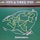 2024.11.10.08시원마트출발,대관령국민의숲길+올림픽트레일 코스 이미지