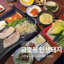 보성점기아오토큐 | 금호동 맛집 인생돼지에서 제대로 즐긴 삼겹살 저녁 고민 해결