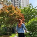 박솔미 카카오 검색결과