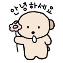 조아동물병원 이미지