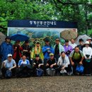 강산회 | 청계산 산행후기