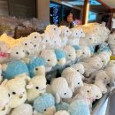 우산목장 | 11월 비 오는 날 아이랑 다녀온 대관령 양떼목장 / 양 먹이주기 체험 후기