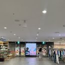 서신효마트 | 광주 신세계 잔망루피 팝업 주말 오픈런 후기 (기간: 8/15~8/29)